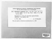 Image Associated With the Occurence